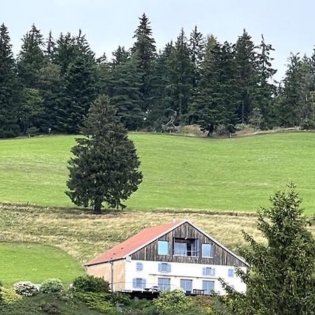 Maison D'Hotes Des Hauts De La Piquante Pierre Basse-sur-le-Rupt Kültér fotó