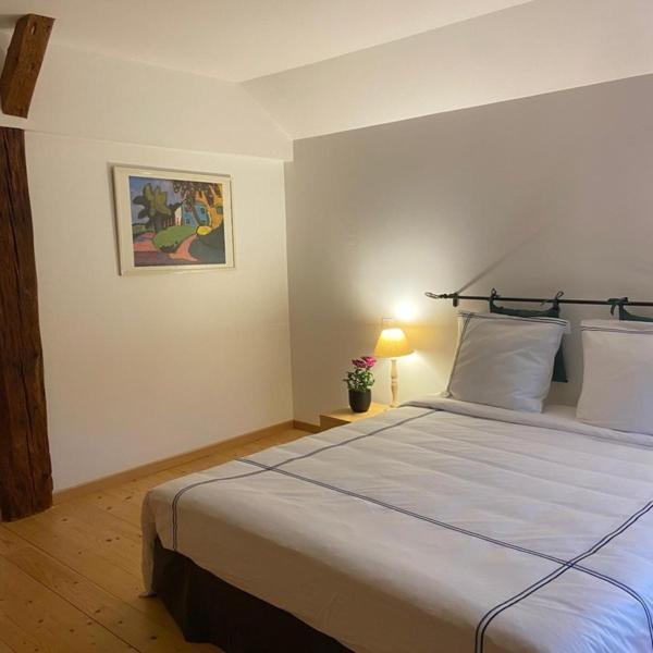 Maison D'Hotes Des Hauts De La Piquante Pierre Basse-sur-le-Rupt Kültér fotó