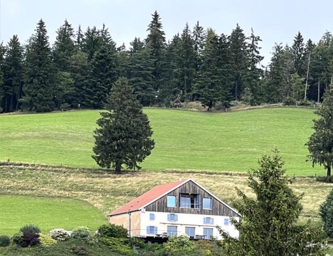 Maison D'Hotes Des Hauts De La Piquante Pierre Basse-sur-le-Rupt Kültér fotó